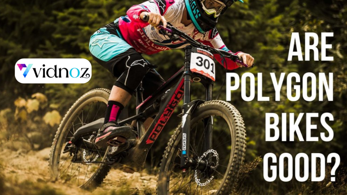 Polygon Bikes: The Best Mountain Bikes for All Skill Levels